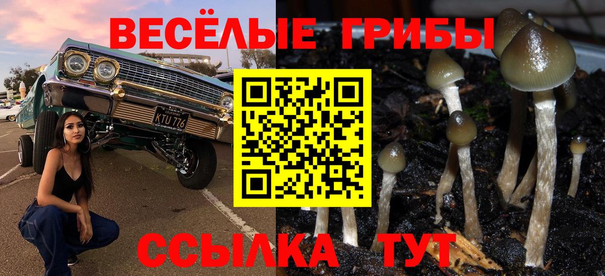Галлюциногенные грибы Magic Shrooms  Псилоцибиновые грибы мухоморы  Вход с VPN  Ишимбай 